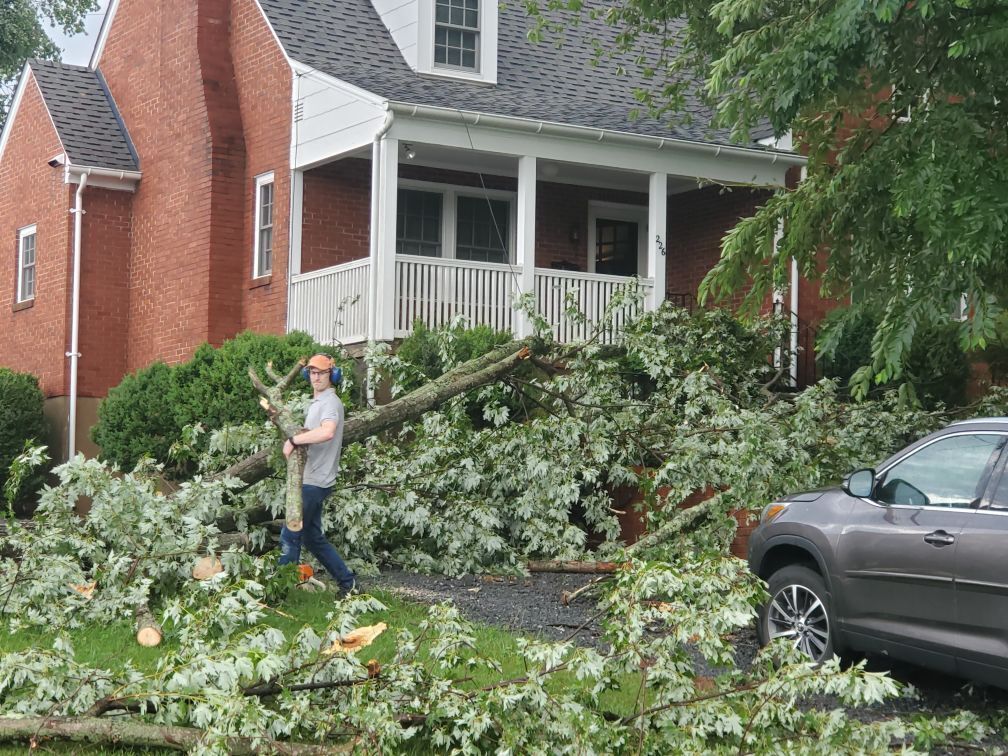 Storm Culpeper cleanup